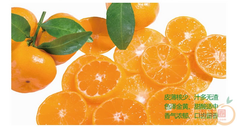 1416902148403640_副本.jpg