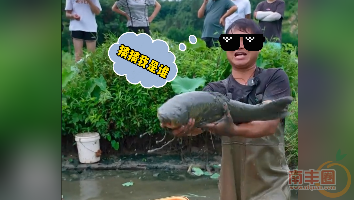 205541rv942bpg1ly1ooov.png
